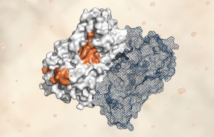 Generative Protein Engineering